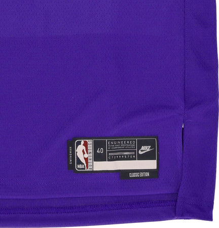 NIKE-NBA-Canotta-Basket-Uomo-Nba-22-Dri-fit-Swingman-Jersey-Hardwood-Classics-No-34-Giannis-Antetoukounmpo-Milbuc-Field-Purple-da-uomo