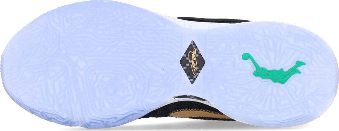 NIKE-NBA-Scarpa-Basket-Uomo-Lebron-Xx-Black/metallic-Gold/white/pure-Platinum-da-uomo