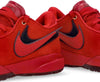 NIKE-NBA-Scarpa-Basket-Uomo-Lebron-Xx-Gym-Red/university-Red/burgundy-Crush-da-uomo