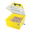 Incubatrice per uova Covatutto 24 Lt con termometro a liquido 80w