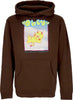 OBEY-Felpa-Cappuccio-Donna-Drifting-On-a-Daydream-Basic-Hooded-Fleece-Brown-da-donna