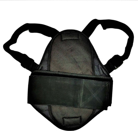 Para Schiena Protezione Spina Dorsale Bambino Ragazzo Tartaruga Ce Mini Moto Moto Motard Pit Bike Sci Snowboard Auto e Moto/Moto accessori e componenti/Abbigliamento protettivo/Protezioni/Protettori dorsali TopGas - Roverbella, Commerciovirtuoso.it