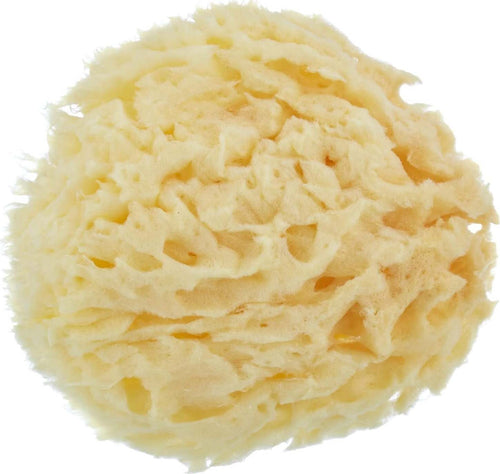 OKBABY Spugna naturale bagno Arcipelago Misura 12 Prima infanzia/Igiene e benessere/Bagnetto/Spugne e guanti Scontolo.net - Potenza, Commerciovirtuoso.it