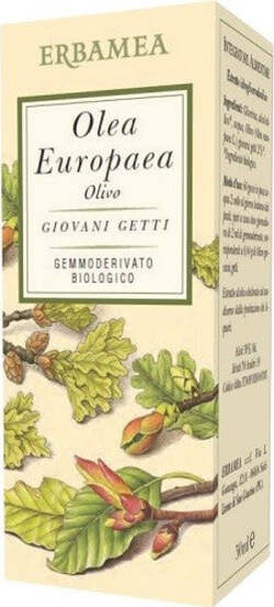 OLEA-EUROPEA-OLIVO-Gemmoderivato-50-ml-Erbamea