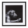 Quadro evidence 49 x 49 con struttura in mdf, stampa su carta, con vetro