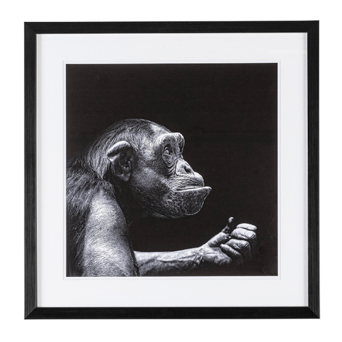 Quadro evidence 49 x 49 con struttura in mdf, stampa su carta, con vetro