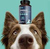 Olio-Di-Pesce-Per-Cani-E-Gatti-Suprapet-Omega-3-Al-70%-(epa-18%,-Dha-12)-E-Vitamina-E-80-Perle.-Mangime-Complementare-Naturale-Per-Perdita-Pelo-E-Articolazioni