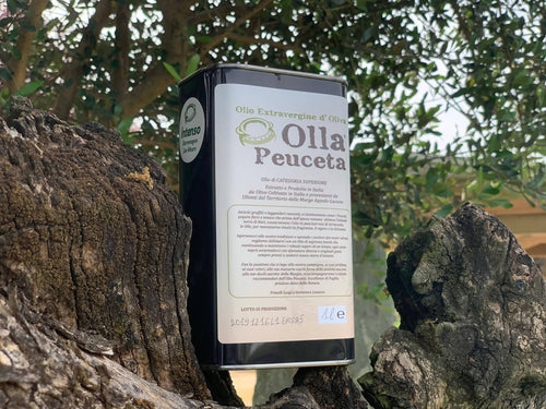 Latta 1L Olio EVO Intenso Olio Extra Vergine di Oliva Olla Peuceta - Padova, Commerciovirtuoso.it