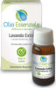 Olio-Essenziale-Lavanda-Extra-10-ml-Erboristeria-Magentina