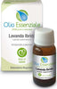 Olio-Essenziale-Lavanda-Ibrida-10-ml-Erboristeria-Magentina