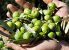 Olio-Extra-Vergine-di-Oliva-Sicilia-IGP---Planeta