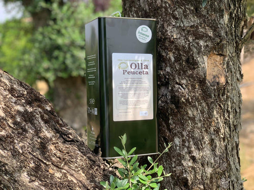 Olio Extra Vergine d'Oliva Pugliese EVO Intenso origine Puglia OLLA PEUCETA Latta 3L Olio Extra Vergine di Oliva Olla Peuceta - Padova, Commerciovirtuoso.it