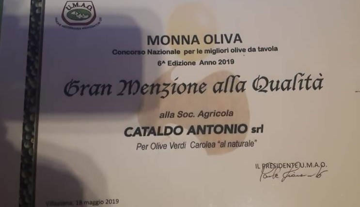 Olive Verdi Italiane Carolea in Salamoia gr. 370 Olive Calabresi Condite Made in Italy Artigianale Alimentari Cataldo Società Agricola - Siderno, Commerciovirtuoso.it