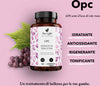 OPC Estratto Di Semi D'uva in Capsule Integratore Antiossidante Vegan Integratore Alimentare Naturale per Capillari E Circolazione Salute e cura della persona/Vitamine minerali e integratori/Antiossidanti/Polifenolo/Semi d'uva The Light Nutrition - Milano, Commerciovirtuoso.it
