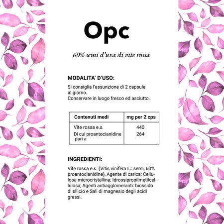 OPC Estratto Di Semi D'uva in Capsule Integratore Antiossidante Vegan Integratore Alimentare Naturale per Capillari E Circolazione Salute e cura della persona/Vitamine minerali e integratori/Antiossidanti/Polifenolo/Semi d'uva The Light Nutrition - Milano, Commerciovirtuoso.it