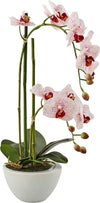Orchidea artificiale bianca con vaso decorazione natalizia per interno h 50 cm Casa e cucina/Decorazioni per interni/Addobbi e decorazioni per ricorrenze/Decorazioni natalizie/Ghirlande e corone MagiediNatale.it - Altamura, Commerciovirtuoso.it