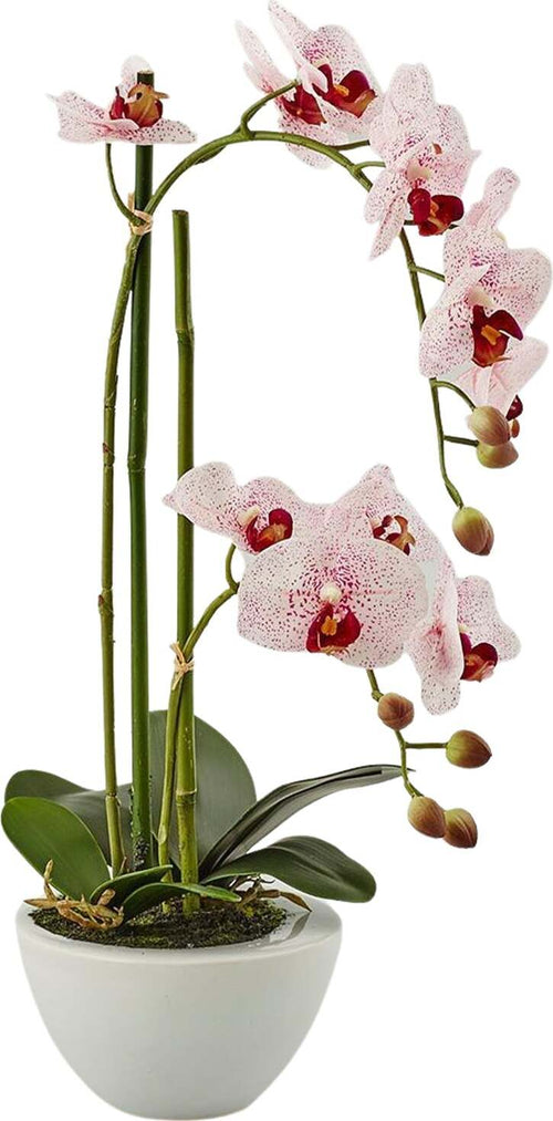 Orchidea artificiale bianca con vaso decorazione natalizia per interno h 50 cm Casa e cucina/Decorazioni per interni/Addobbi e decorazioni per ricorrenze/Decorazioni natalizie/Ghirlande e corone MagiediNatale.it - Altamura, Commerciovirtuoso.it