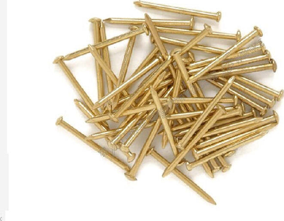 ORECA---BLISTER-50gr-DI-CHIODI-TESTA-BOMBATA-1,3X15mm-IN-FERRO-OTTONATO