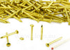 ORECA-CHIODI-TESTA-BOMBATA-OTTONE-LUCIDO-mm-1,4X13-GR.30