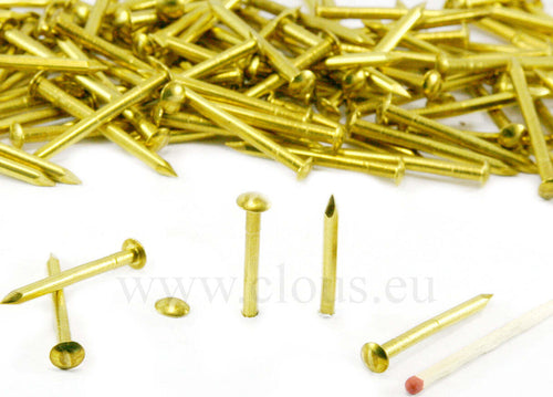 ORECA-CHIODI-TESTA-BOMBATA-OTTONE-LUCIDO-mm-1,4X25-GR.30
