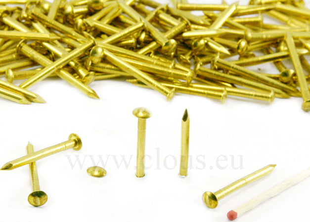 ORECA-CHIODI-TESTA-BOMBATA-OTTONE-LUCIDO-mm-2,0X25-GR.30