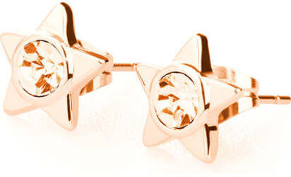 ORECCHINI DONNA BROSWAY BEO26