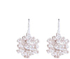 Orecchini Donna in Argento Fiore di Brillanti Bianchi Zirconi Monachella in Argento 925 millesimi