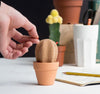 Organizer da scrivania sughero cactus Cancelleria e prodotti per ufficio/Archivio ufficio e accessori per scrivania/Accessori da scrivania e archiviazione/Portaoggetti e portablocchi da scrivania/Portaoggetti da scrivania Led Mall Home - Napoli, Commerciovirtuoso.it