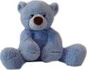 Orsetto-Boy-Bear-Azzurro-Peluche-Plush-E-Company