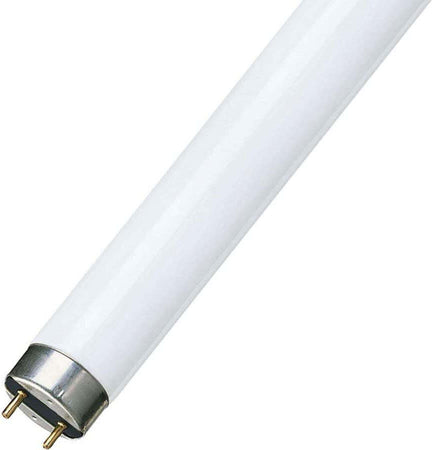 Osram Tubo neon 15 W T8 Illuminazione/Lampadine/Lampadine fluorescenti e al neon Scontolo.net - Potenza, Commerciovirtuoso.it