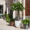 Vaso Ecologico ''Re-Pot Over'' con riserva d'acqua in plastica per fiori e piante.