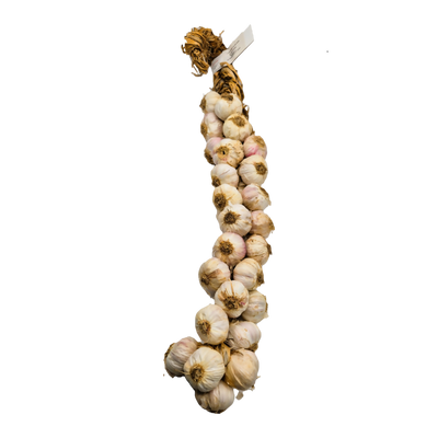 aglio rosso di nubia 25 teste