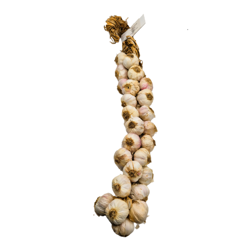 aglio rosso di nubia 25 teste