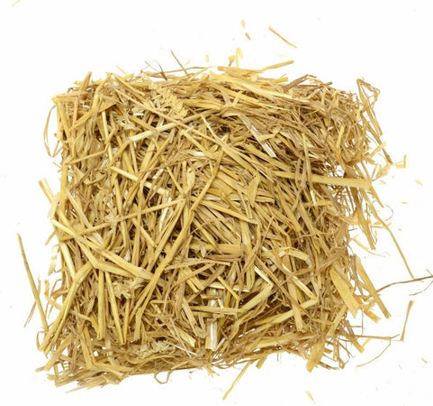 Paglia per presepe imbustata e sterilizzata decorazione per mestieri e statue Casa e cucina/Decorazioni per interni/Addobbi e decorazioni per ricorrenze/Decorazioni natalizie/Presepi/Statuine e fondali per il presepe MagiediNatale.it - Altamura, Commerciovirtuoso.it