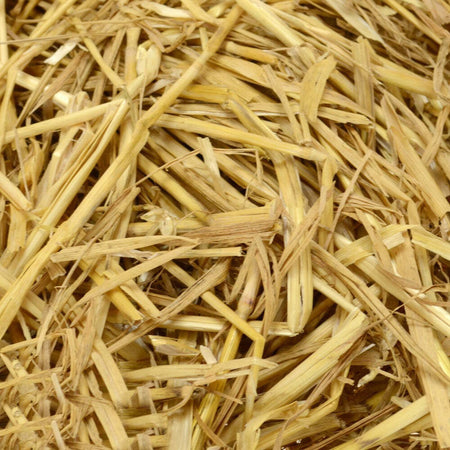 Paglia per presepe imbustata e sterilizzata decorazione per mestieri e statue Casa e cucina/Decorazioni per interni/Addobbi e decorazioni per ricorrenze/Decorazioni natalizie/Presepi/Statuine e fondali per il presepe MagiediNatale.it - Altamura, Commerciovirtuoso.it