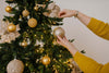 Palline per albero di Natale decorato, in Foam, color Champagne, Glitterate, da Ø 8 cm, 12 pezzi Casa e cucina/Decorazioni per interni/Addobbi e decorazioni per ricorrenze/Decorazioni natalizie/Addobbi e decorazioni/Palle e palline MagiediNatale.it - Altamura, Commerciovirtuoso.it
