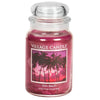 Candele profumate Village Candle profumatore per ambienti, Giara in vetro 730 gr, 26 once