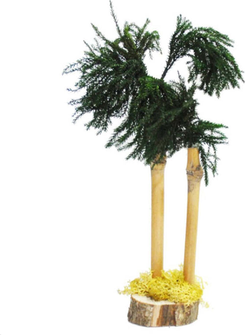 Palma con tronco di bambù e base in legno h 25 cm decorazione per presepe natalizio Casa e cucina/Decorazioni per interni/Addobbi e decorazioni per ricorrenze/Decorazioni natalizie/Presepi/Statuine e fondali per il presepe MagiediNatale.it - Altamura, Commerciovirtuoso.it