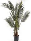 Palma Con Vaso, Pianta Artificiale Decorativa Verde Da 150 Cm per Interno Casa e cucina/Decorazioni per interni/Piante e fiori artificiali/Piante artificiali Decor Space - Altamura, Commerciovirtuoso.it