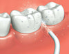 Panasonic Beccuccio di ricambio per irrigatore orale EW0955W503 Salute e cura della persona/Igiene dentale/Accessori per idropulsori e fili interdentali elettrici Scontolo.net - Potenza, Commerciovirtuoso.it