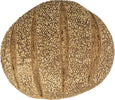 Pane Biologico Integrale Con Sesamo Pagnotta Di Grani Antichi Siciliani Biologici Moliti A Pietra Naturale Pane Proteico Ricco Di Fibre Pane Lievitazione Naturale Con Lievito Madre Alimentari e cura della casa/Preparati da cucina e da forno/Preparati per prodotti da forno/Pane Pagnotta è Salute - Milazzo, Commerciovirtuoso.it