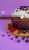 Panettone Artigianale Ai Frutti Di Bosco 1.2 Kg Panettone Made In Italy 100% Sicilia La Bottega Reale