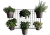 Pannello a Parete in Rete Comby Green per Vasi Giardino e giardinaggio/Attrezzi da giardino e attrezzature per l'irrigazione/Vasi e accessori per piante/Vasi pensili Decor Space - Altamura, Commerciovirtuoso.it