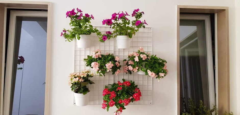 Pannello a Parete in Rete Comby Green per Vasi Giardino e giardinaggio/Attrezzi da giardino e attrezzature per l'irrigazione/Vasi e accessori per piante/Vasi pensili Decor Space - Altamura, Commerciovirtuoso.it