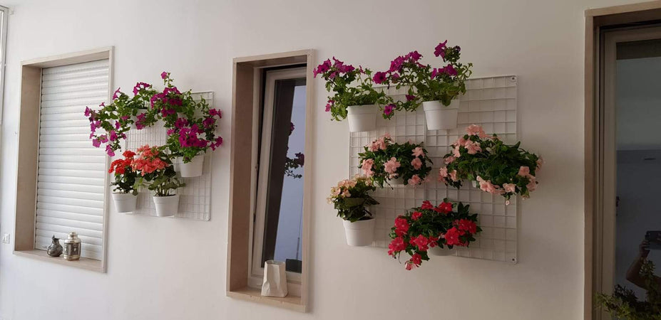 Pannello a Parete in Rete Comby Green per Vasi Giardino e giardinaggio/Attrezzi da giardino e attrezzature per l'irrigazione/Vasi e accessori per piante/Vasi pensili Decor Space - Altamura, Commerciovirtuoso.it