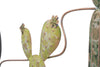 Pannello In Ferro Cactus -B- Cm 90X2,5X64 Casa e cucina/Decorazioni per interni/Arte/Poster e stampe Led Mall Home - Napoli, Commerciovirtuoso.it