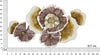 Pannello-In-Ferro-Clow-Cm-92,1X8,3X51,4