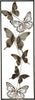 Pannelo In Ferro Farfalle Cm 31X2,5X90 Casa e cucina/Decorazioni per interni/Arte/Poster e stampe Led Mall Home - Napoli, Commerciovirtuoso.it