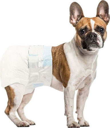 10 Pannolini Assorbenti Per Cani S Taglia Piccola Pannolino Traversina Cane Prodotti per animali > Prodotti per Cani > Tappetini Igienici Trade Shop italia - Napoli, Commerciovirtuoso.it