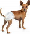 10 Pannolini Assorbenti Per Cani Xs Taglia Piccola Pannolino Traversina Cane Prodotti per animali > Prodotti per Cani > Tappetini Igienici Trade Shop italia - Napoli, Commerciovirtuoso.it